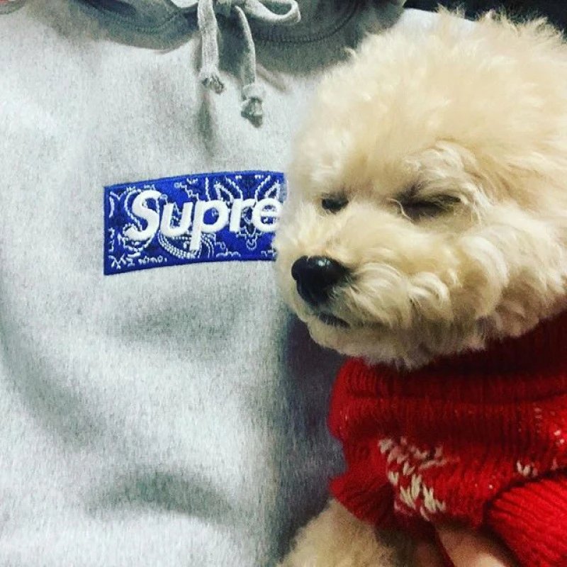Supreme Cross Box Logo Hooded Sweatshirt Heather Grey