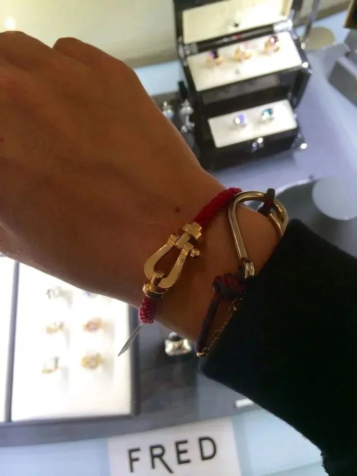 FRED Force 10 Bracelet Yellow Gold and Steel Cable