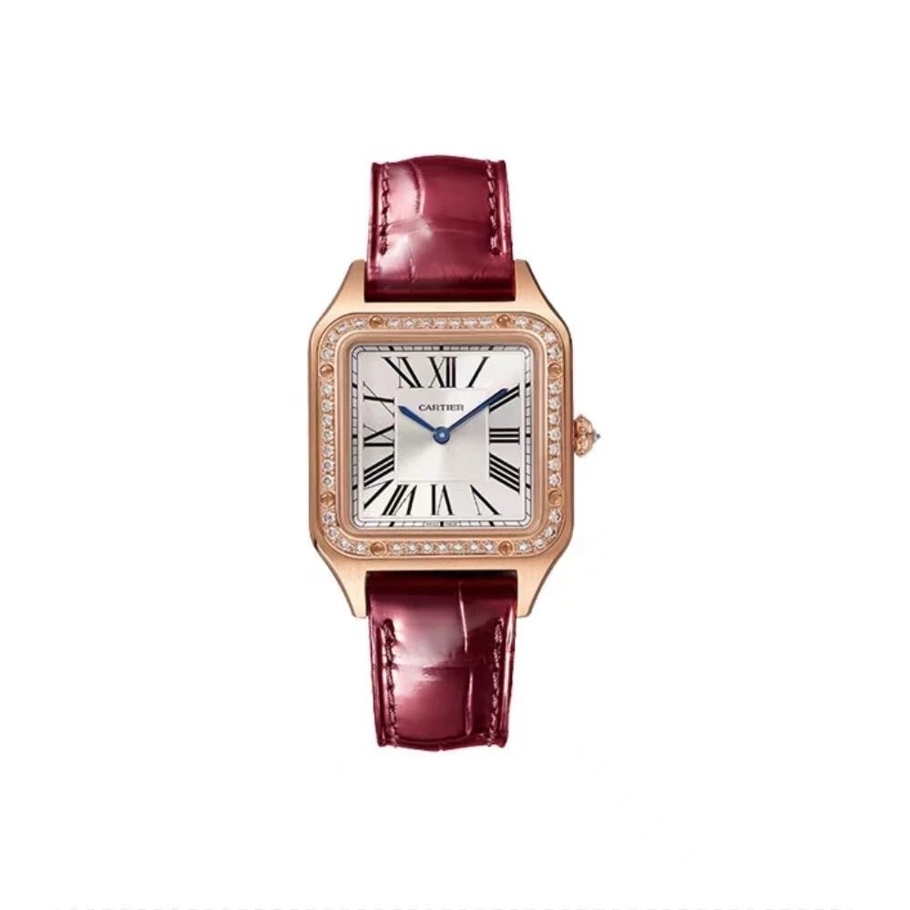 Cartier Santos de Cartier Large Model ADLC Grey Dial WSSA0037
