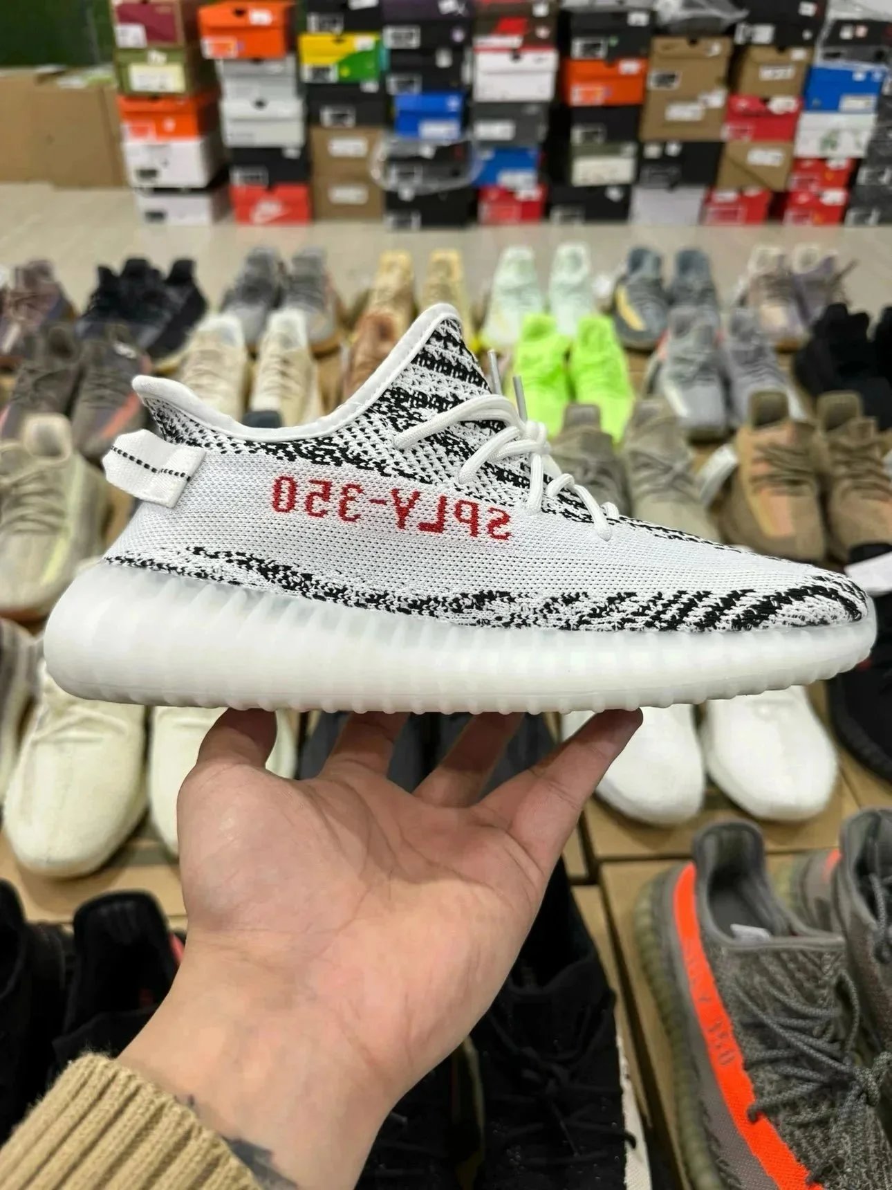 adidas Yeezy Boost 350 V2 Zebra
